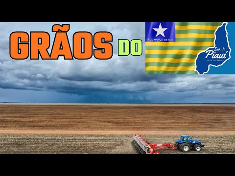 Será essa a MAIOR fazenda do CENTRO SUL do Piauí?