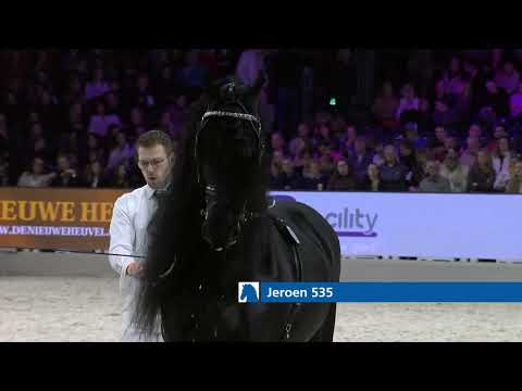 HK 2026 – Event 6 – Inspection of the registered Studbook Stallions from abraviated examination – German