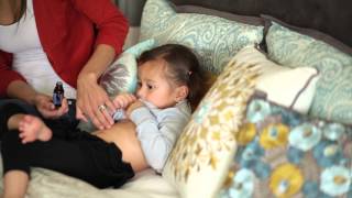 doTERRA Zengest  15 ml