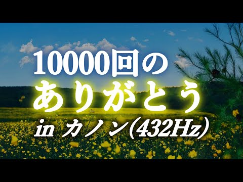 「ありがとう」を10000回リピートしてます。（波動を上げるBGMと共に繰り返し聴く用）