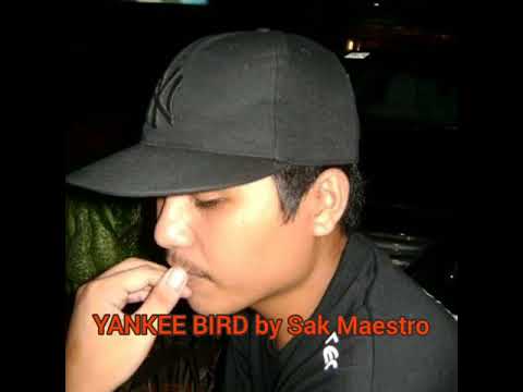 Yankee Bird - Sak Maestro