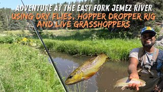 Fly Fishing Adventure at The East Fork Jemez River #flyfishing #newmexico #browns #rainbowtrout