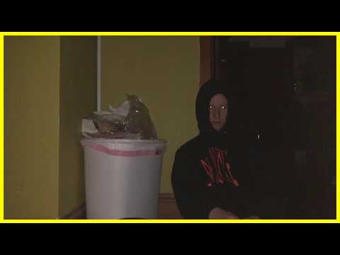 Video 3