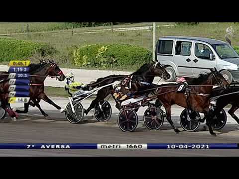 Aversa trotto 10 Aprile 2021 - 7° Corsa