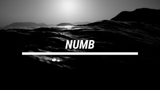 YRL Carlo$ - Numb (Official Audio)