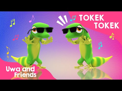 Tokek Tokek - Lagu Binatang Lucu - Lagu Anak Indonesia