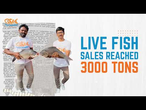 2026! Fishmongers positions itself for the next phase of disciplined growth.