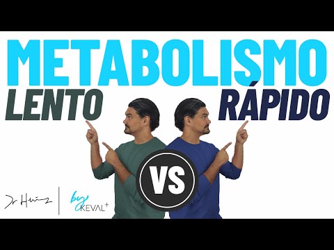 Qué Tipo de Metabolismo Es Mejor? RÁPIDO vs LENTO