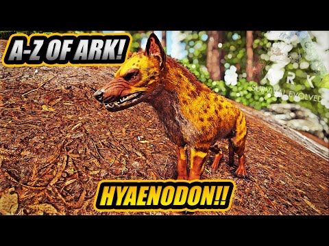 A-Z Of Ark! The HYAENODON, The Best Doggo Ever!! || Ark Survival Evolved!