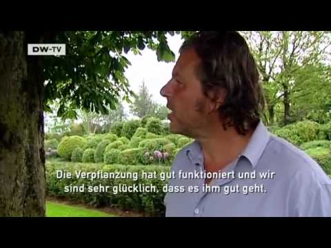 Der Landschaftsdesigner Enzo Enea | Video des Tages