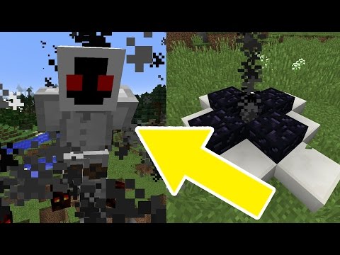 BigB - How to Spawn ENTITY 303 in Minecraft at 3AM!!! (WARNING! SCARY)