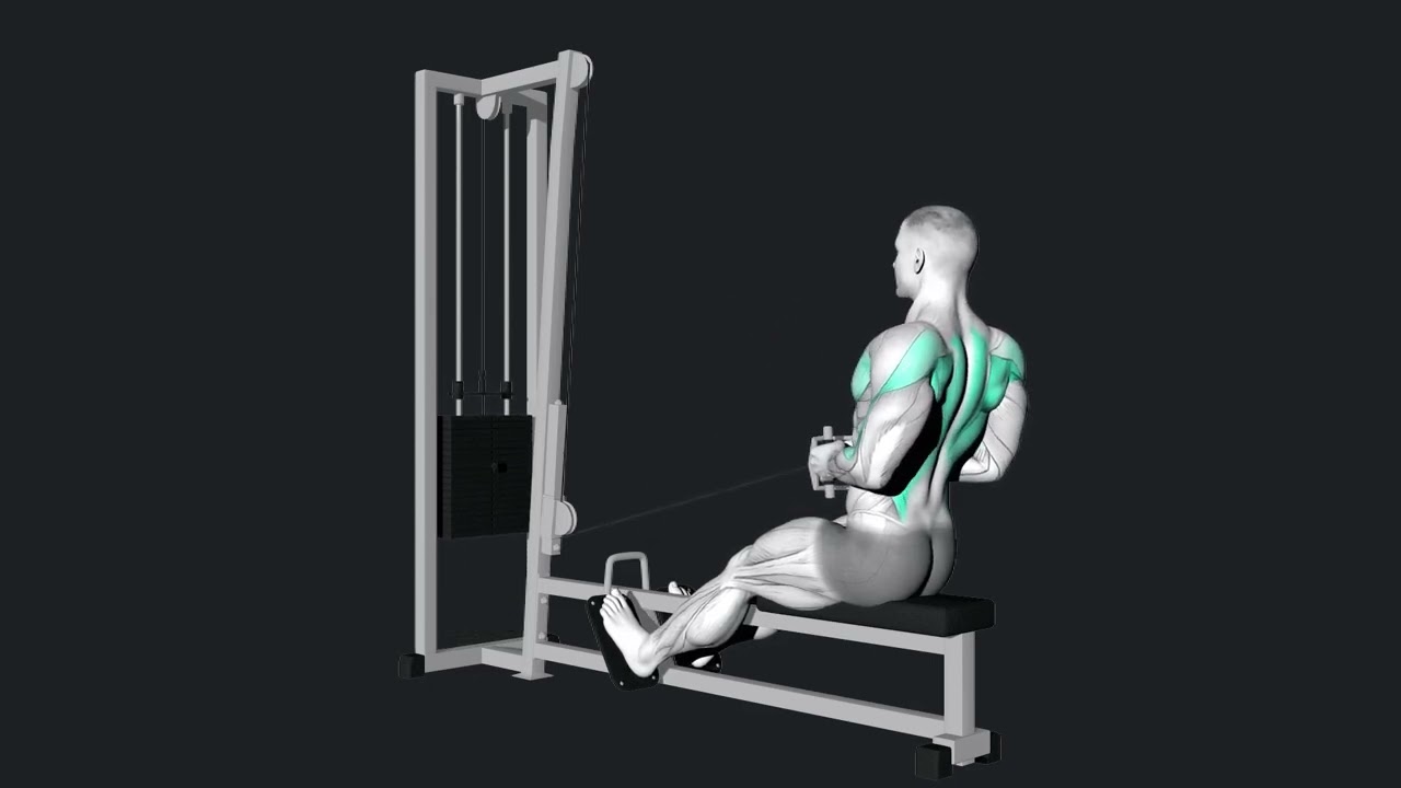 How to Seated row Cable, 3d animation, gif