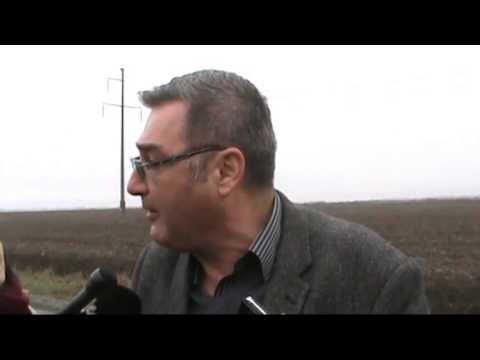 Salcie energetica Semlac - Seitin, decembrie 2013