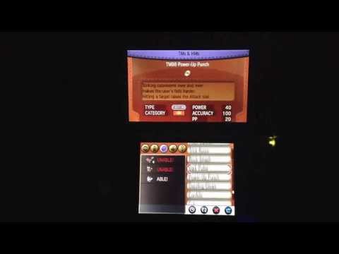 Pokemon Y Where to Find All The Mega Stones!