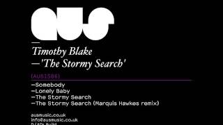 Timothy Blake - The Stormy Search