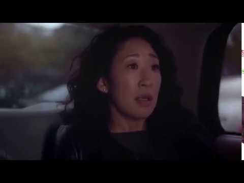 Cristina and Meredith's last scene in Greys Anatomy