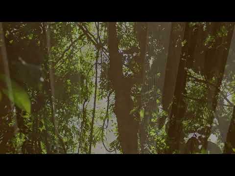 NPOZ eco-friendly pozzolan flooring