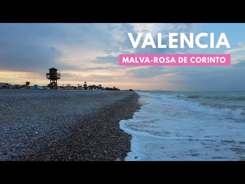 Valencia Beach Walk 2023 - Malva-rosa de Corinto / SPAIN