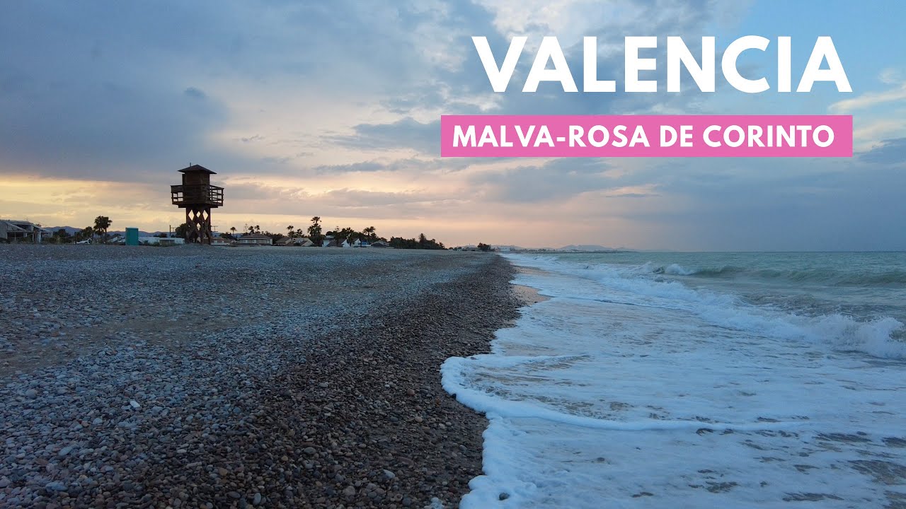 Valencia Beach Walk 2023 - Malva-rosa de Corinto / SPAIN