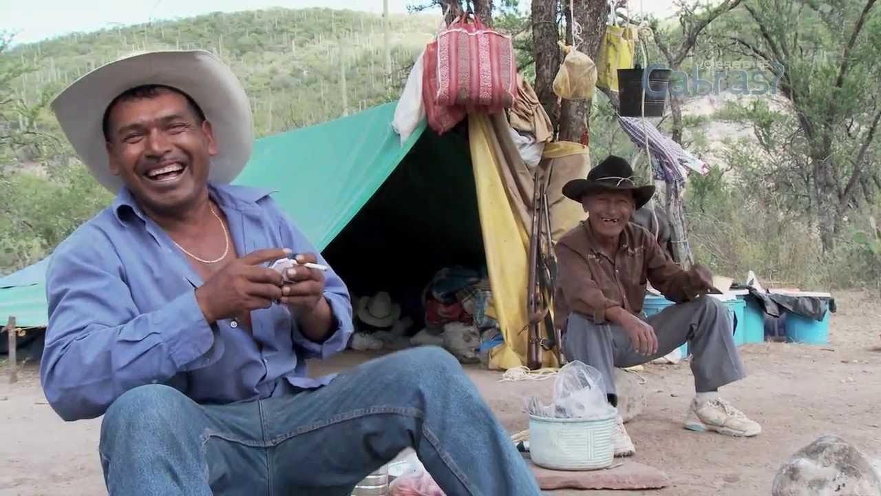 ¿QUE SUEÑAN LAS CABRAS? trailer