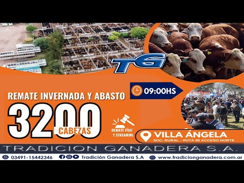REAMATE INVERNADA Y ABASTO...TRADICION GANADERA SUCURSAL VILLA ANGELA