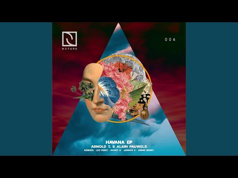 Havana (Leo Perez & Dhany G Remix)