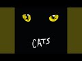 Mr. Mistoffelees (1981 / Musical "Cats") 