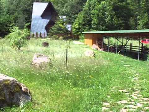 Pensiunea "Lunca Cheii" Tarcau jud Neamt, part8