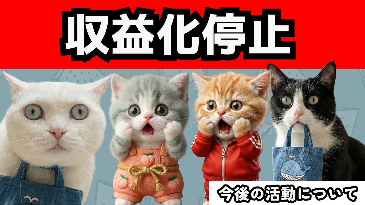 今後の活動について。【クジラさん🐳】