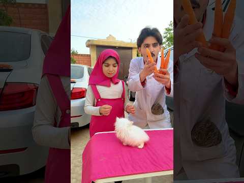 ماشا تطعم القطة جزر وصدمة 😱الطبيب يقدم لها طعام القطط !!