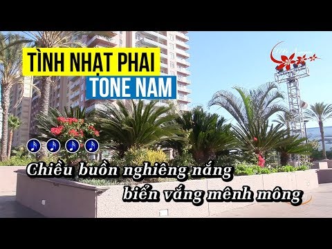 Tinh Nhạt Phai Karaoke - Tone Nam | Beat Chuẩn