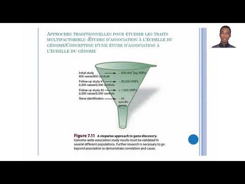 Cours de Génétique Humaine : Hérédité Multifactorielle partie 2