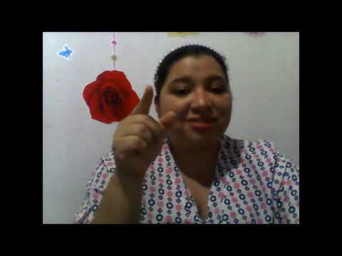 3 pen pals in The United States