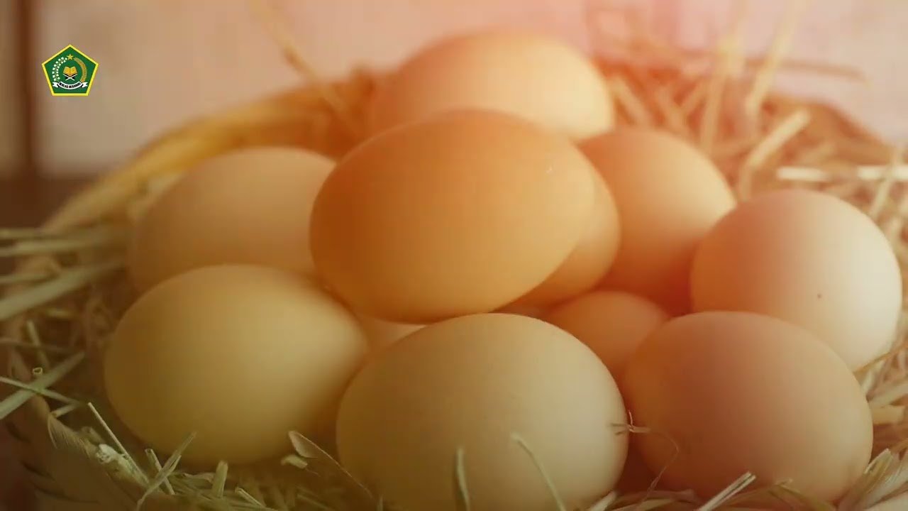 Ucapan Hari Paskah Menteri Agama