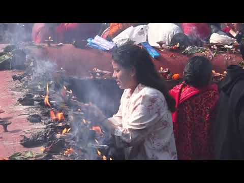 महाशिवरात्रीमा पशुपति क्षेत्रबाट । Shivaratri । Pashupati Mandir ।