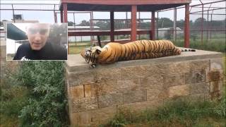 "A Long-Winded Saga" | WATC 3