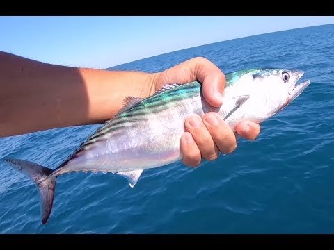 download lagu mp3 mp4 Peche A La Traine En Mer, download lagu Peche A La Traine En Mer gratis, unduh video klip Peche A La Traine En Mer