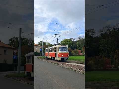 Historischer T4D/B4D Hängerzug in Halle auf Sonderfahrt #tatra #straßenbahn #t4d #b4d #sonderfahrt