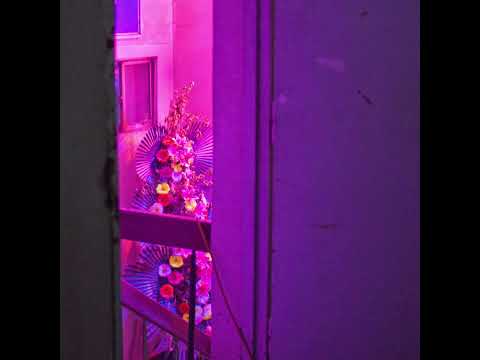 Video thumbnail for 반달리즘 (Vandalism)