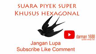 Download lagu Si PIYIK SUPER Khusus Hexagonal dan Sangat Mantap Tarikannya di Jalur Lintasan silahkan Download mp3 Download lagu Si PIYIK SUPER Khusus Hexagonal dan Sangat Mantap Tarikannya di Jalur Lintasan silahkan Download mp3