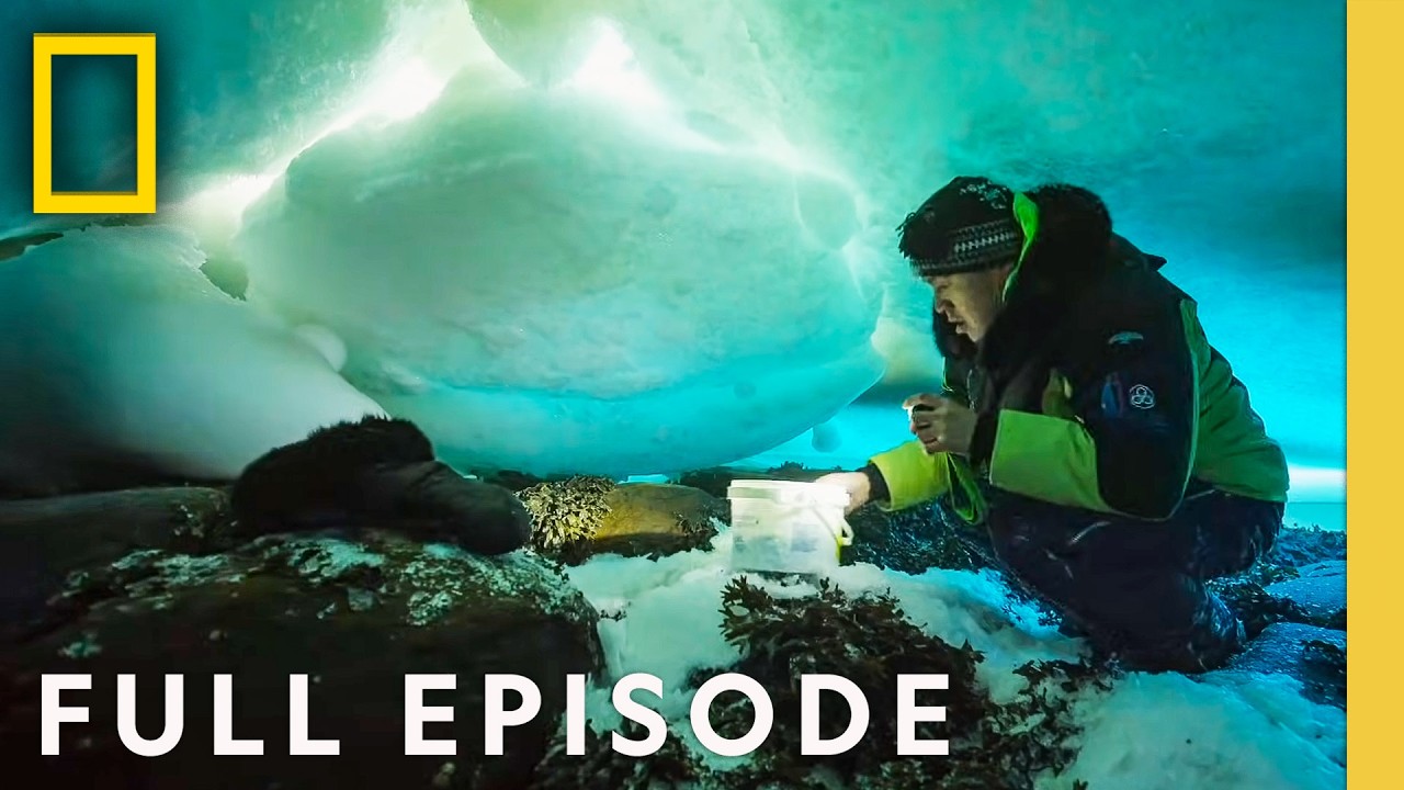 How did a Cosmic Storm Make Planet Earth? (Full Episode) | One Strange Rock | National Geographic