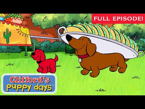 Something Special | Shun Gets in the Game Full Episode | Clifford's Puppy Days | Scholastic Classic