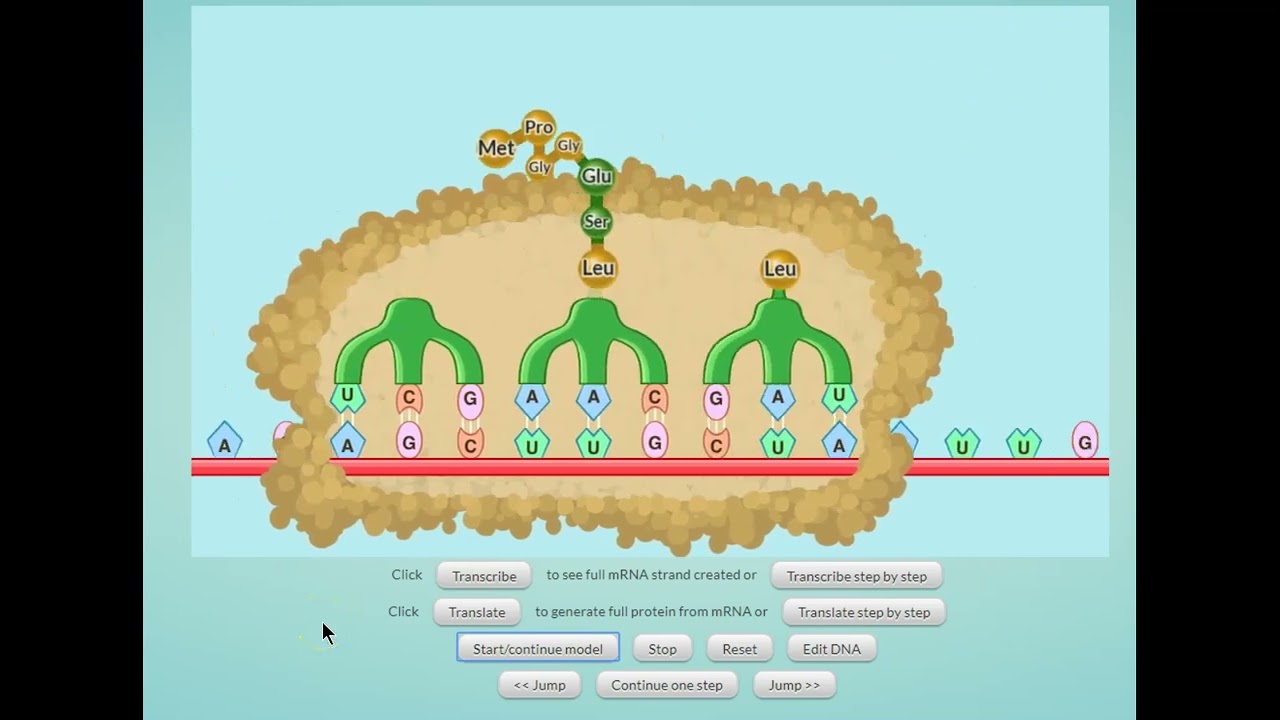 A short review of DNA's three properties: Information, Duplication, and Change (mutation)