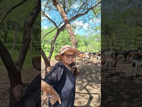 📍 Região da Fazenda Fumo – Irauçuba