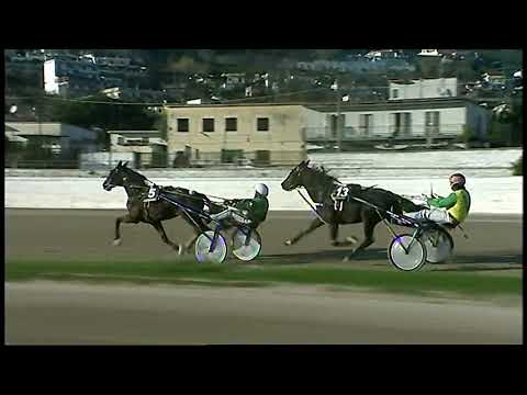 Trotto 20/12/2020 - 3ª corsa