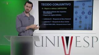 Células e Tecidos - aula 21 - Biologia do tecido conjuntivo: propriamente dito - Parte II