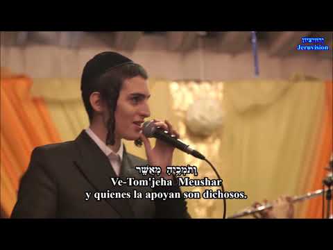 Etz  Jayim - Árbol de vida - Mordechai Ben David y Motty Steinmetz HD hebreo-español