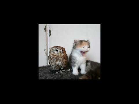 ✭SOLD✭ lida x s3rl happy hardcore type beat - friends