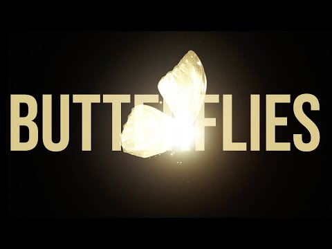 Butterflies - Lucy Spraggan