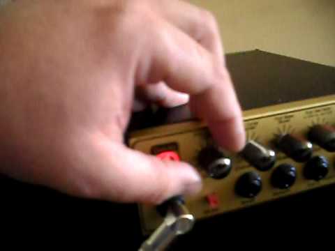 Dingwall Afterburner I, Eden WTX-260, Bergantino HT-115